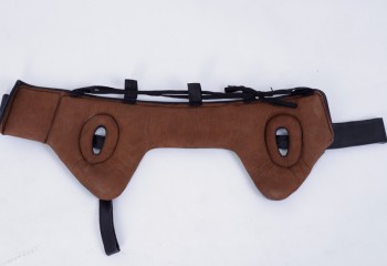 ���� ��������-�����������,  ����������� ���� - ���������� ��� �����������